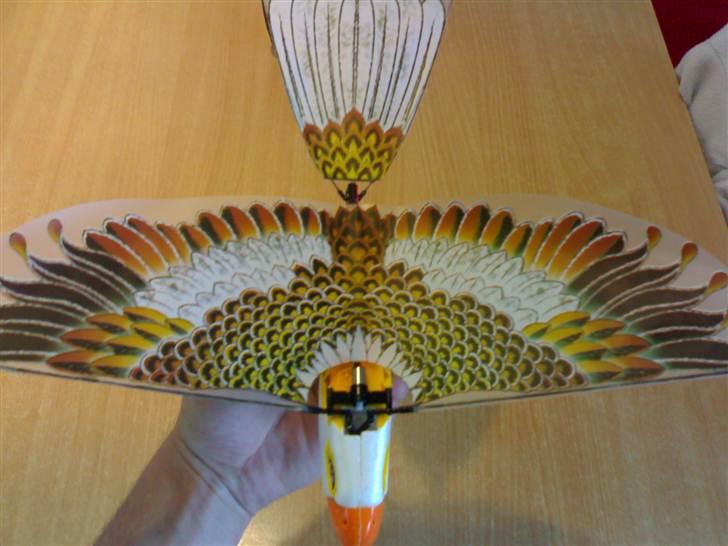 Fly Spybird billede 9