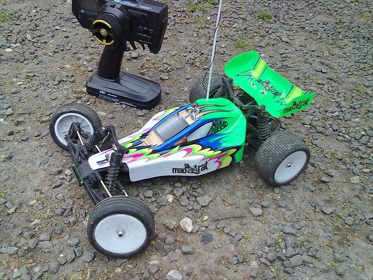 Buggy Ansmann Mad Rat billede 8