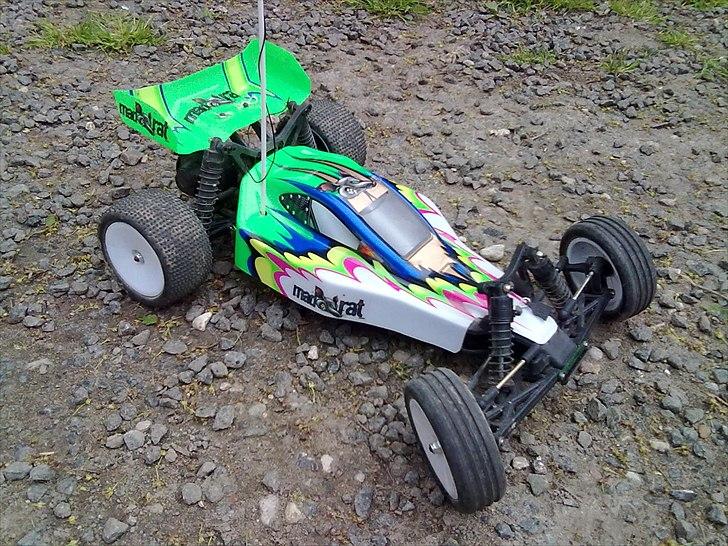 Buggy Ansmann Mad Rat billede 10