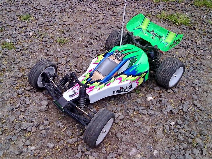 Buggy Ansmann Mad Rat billede 11