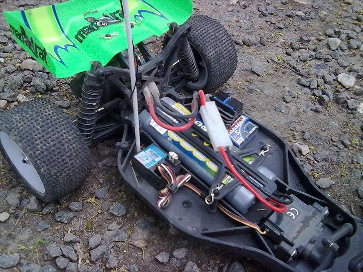 Buggy Ansmann Mad Rat billede 15