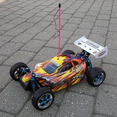 Buggy HSP Xstr Pro