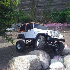 Off-Roader Axial TCS Chassics