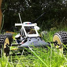 Buggy fg baja buggy
