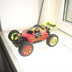 Buggy radline fang RTX-1