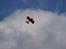 Fly UMX Beast
