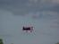 Fly UMX Beast