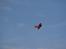 Fly UMX Beast