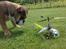 Helikopter Esky Lama V3
