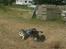 Buggy FG Baja