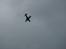 Fly Parkzone Ultra Micro P-51D Mustang