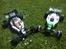 Buggy Ansmann X-pro