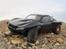 Bil Traxxas Slash 4x4 (Platinium)