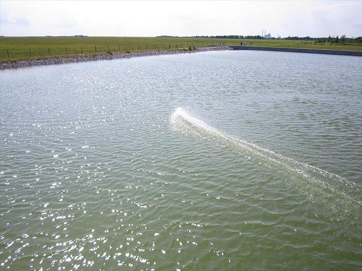 Båd Krick P1 VEE (Tiger Davidson) billede 8