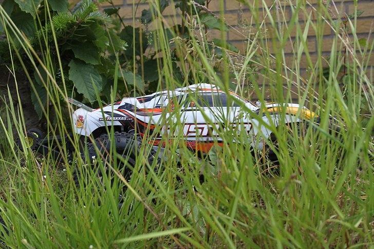 Truck traxxas rustler brushless billede 8