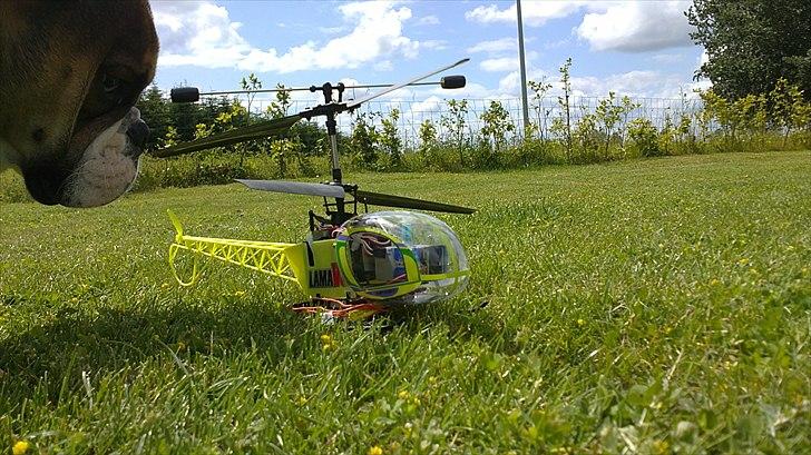 Helikopter Esky Lama V3 billede 3