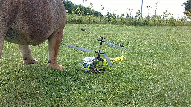 Helikopter Esky Lama V3 billede 10