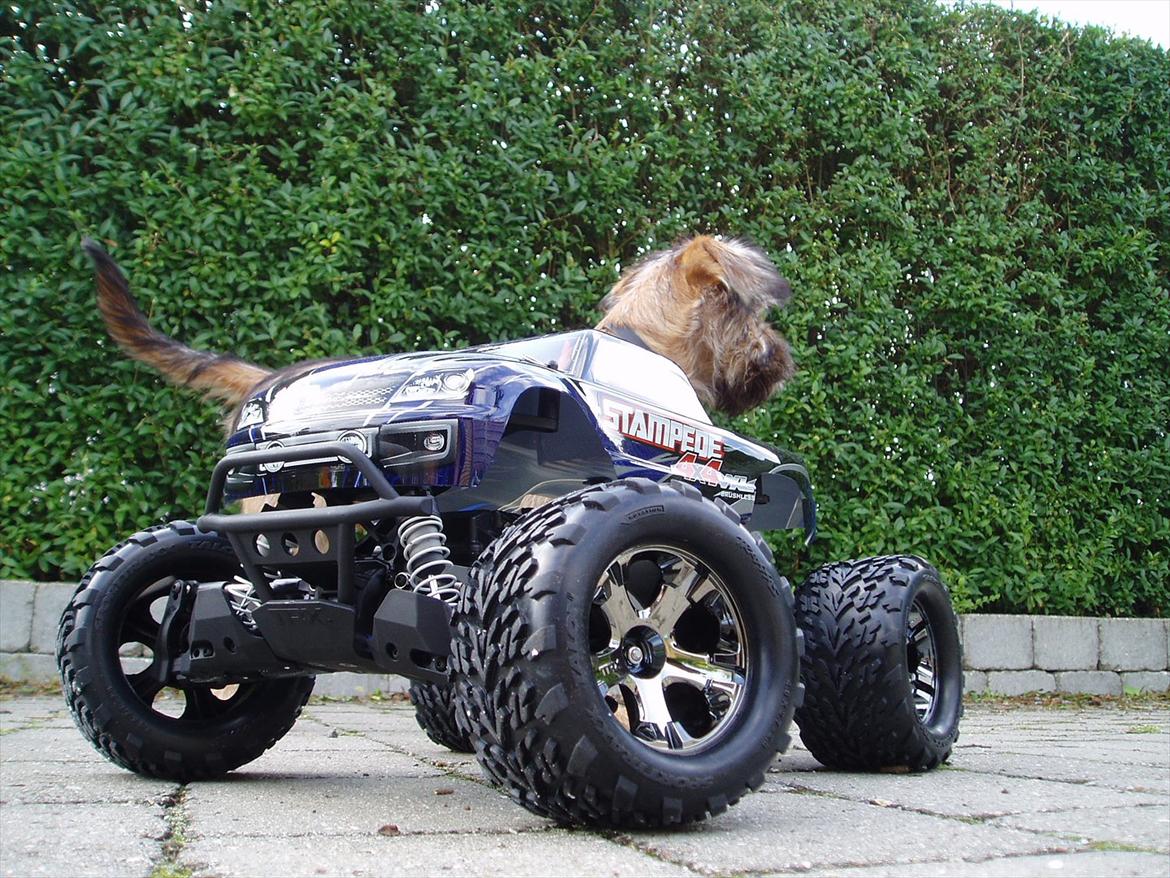 Truck Stampede 4x4 VXL billede 4