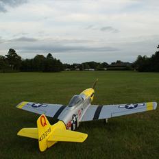 Fly FMS P-51 Mustang 'Marie'