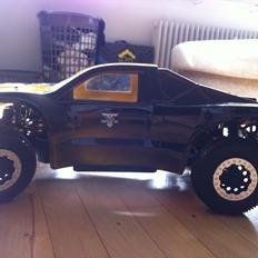 Truck Losi SCTE