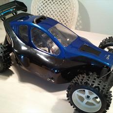 Buggy FG Leopard Race 