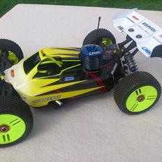 Buggy Ishima Rave M1.0R Pro Custom