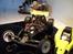 Buggy ansmann x-pro