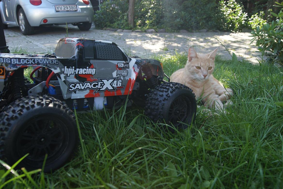 Truck Savage Flux 2350 billede 13