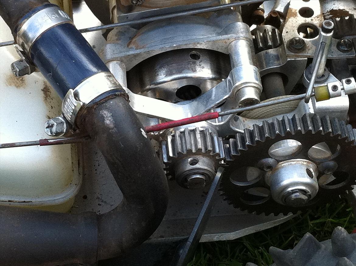 Bil FG Leopard billede 9