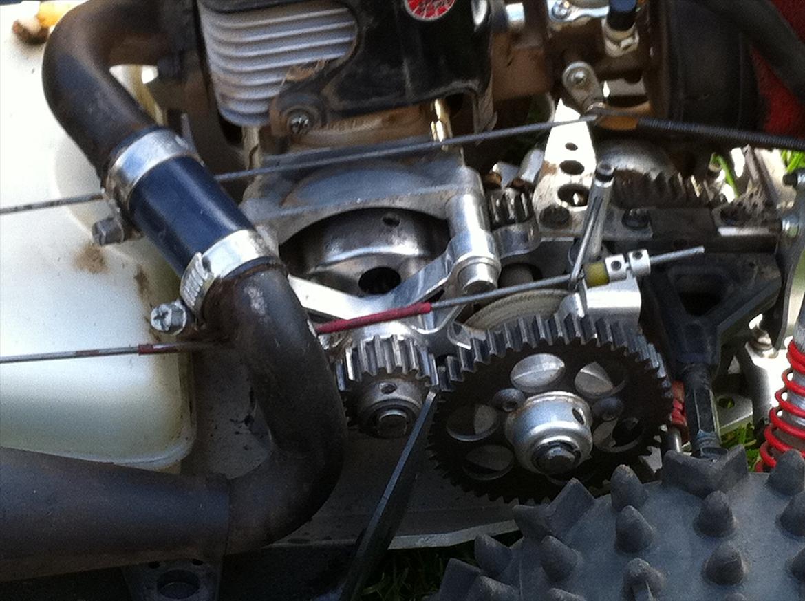 Bil FG Leopard billede 10