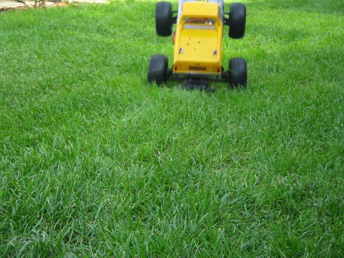 Bil stampede 4x4  billede 11