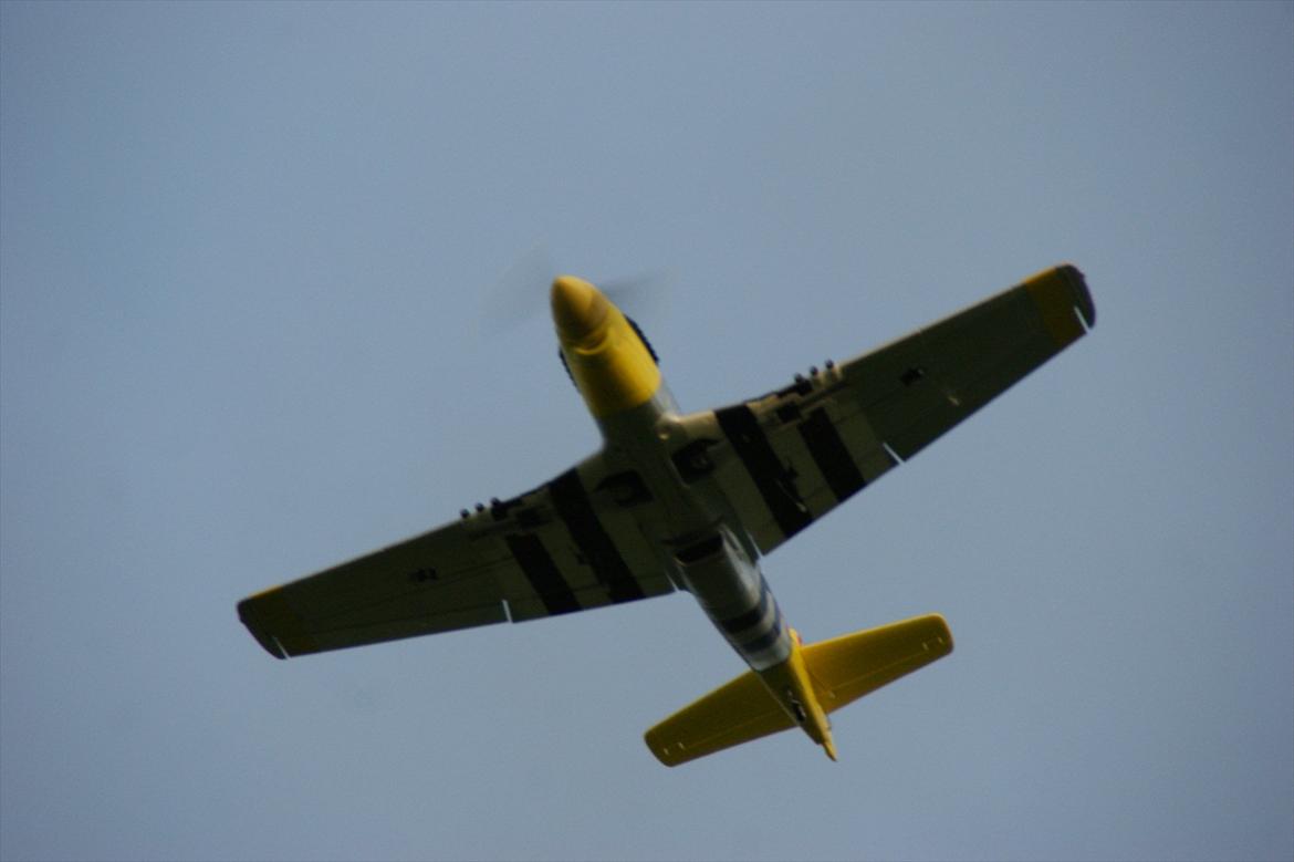 Fly FMS P-51 Mustang 'Marie' billede 3