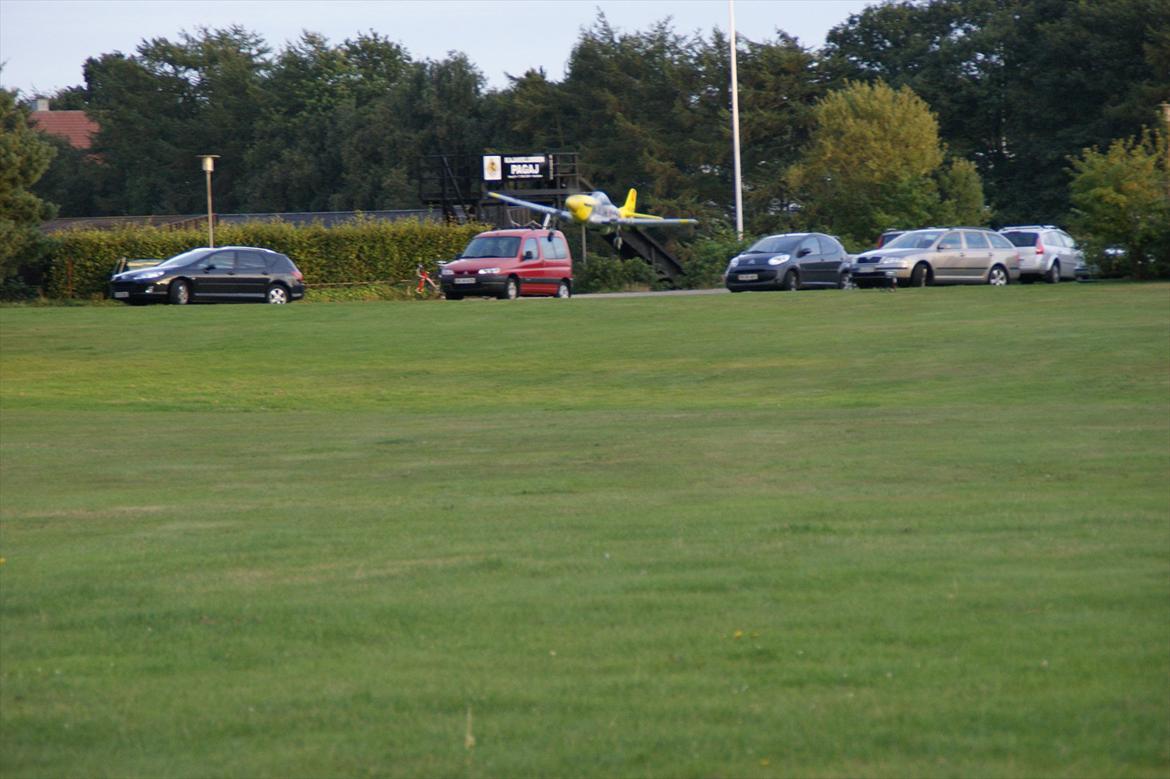 Fly FMS P-51 Mustang 'Marie' - Går an til landing. billede 6