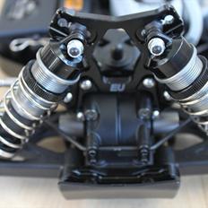 Buggy Team Losi 2,0EU