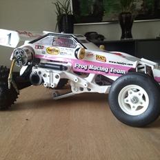 Buggy Tamiya 58041 Frog