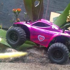 Off-Roader hbx baja mini