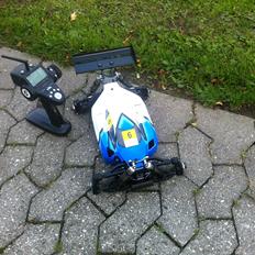 Buggy mugen mbx-6 eco