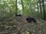 Off-Roader Solgt... Stampede 4X4 VXL
