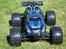 Buggy E Revo Org brushless Edition - E Revo'en på græs..