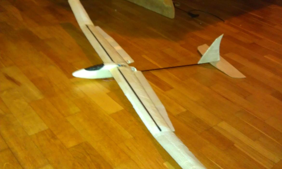 Fly Scratchmade DLG (svæver) - Sådan så den ud før! billede 3