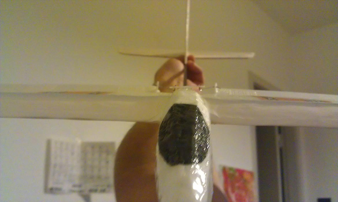 Fly Scratchmade DLG (svæver) billede 12