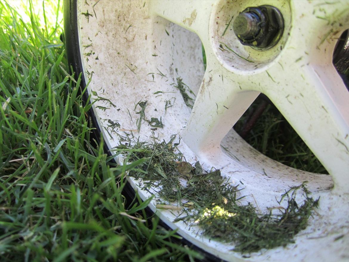 Bil  FG Marder billede 19