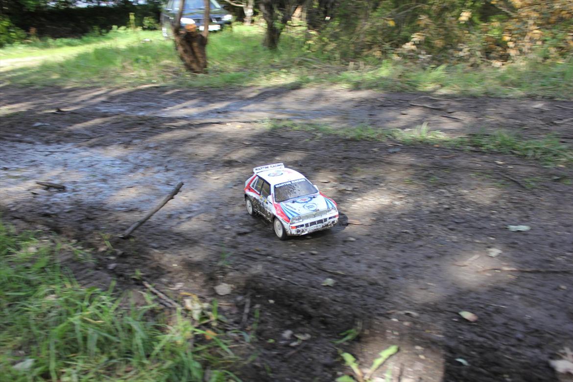 Bil Tamiya DF-03 RA Delta Integrale billede 11