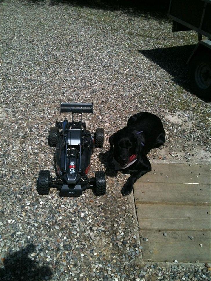 Buggy Carbon Fighter pro billede 17