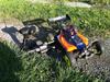 Buggy Ishima rave m1.0s