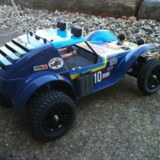 Buggy Tamiya Holiday Buggy 2010