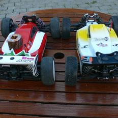 Buggy Mugen MBX6 Brushless Tekno V4