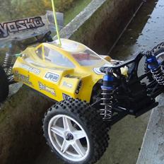 Buggy Kyosho Lazer ZX-5 (solgt)