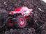 Off-Roader Team Losi Mini Crawler