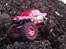 Off-Roader Team Losi Mini Crawler